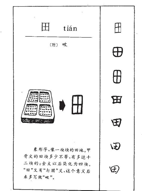 田字五行|田字五行